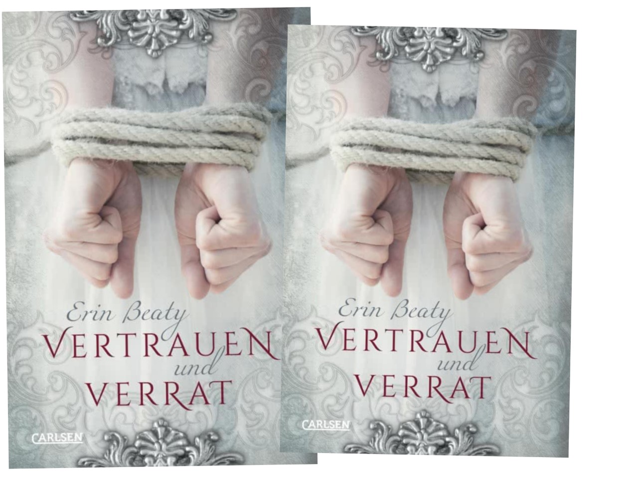 Kampf um Demora Band 1 – Vertrauen und Verrat von *Erin Beaty* – Arya ...